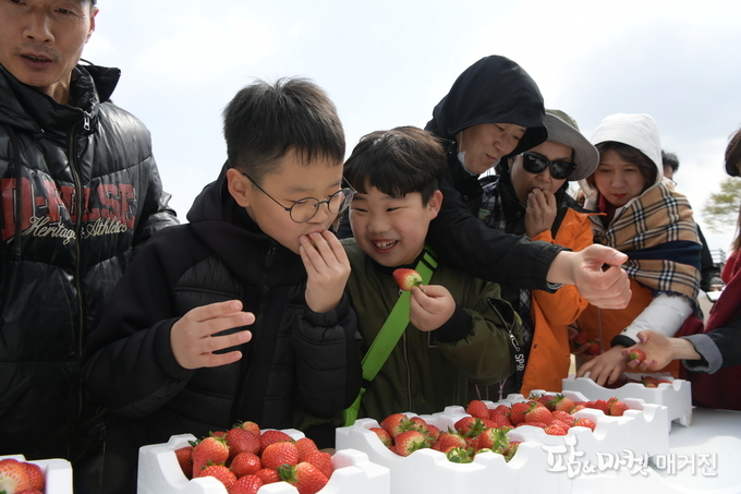 4월 4일부터 8일까지 논산천둔치와 관내 딸기밭 일원에서 개막해 4일차를 맞은 2018 논산딸기축제장, 어린이부터 어르신, 그리고 많은 외국인들이 축제를 즐기고 있다