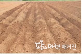 이랑만들기