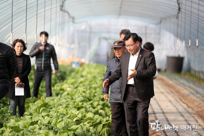 김경규 농촌진흥청장이 24일 전북 완주군의 쌈채소 재배농가를 찾아 농약허용기준강화(pls) 시행에 관해 농업인들과 이야기를 나누고 있다. PLS란 국내 잔류허용 기준이 마련된 농약 외에는 불검출 수준인 0.01ppm으로 일괄 관리하는 제도를 말한다.<사진=농촌진흥청>
