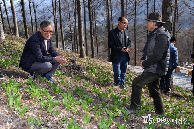 김재현 산림청장(왼쪽 첫번째)이 16일 경남 거창군 고제면 산양산삼, 돌배, 오미자 등 다양한 임산물 품목으로 산업화에 성공한 신지식임업인 임가를 찾아 경남지역 임업인들과 현장 간담회를 갖은 뒤 산마늘 재배단지를 둘러보고 있다.<사진=산림청 제공>