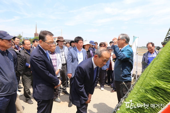 농협경제지주 김원석 대표이사와 박준배 김제시장은 벼 소식 재배 연시회에 참석했다.