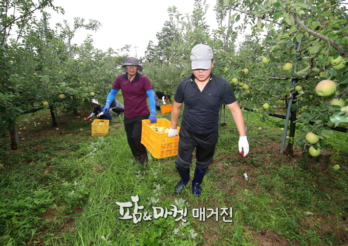 태풍인력 이미지