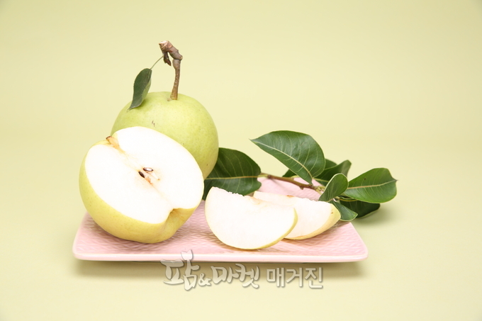 그린시스 이미지