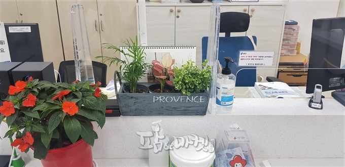 풍덕천1동 행정복지센터에 비치한 화분