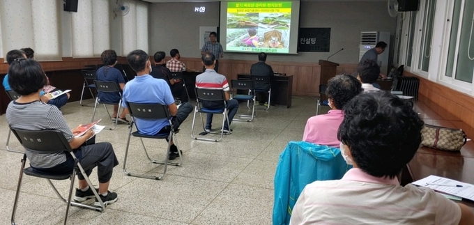 8월 7일 대전면딸기 현장컨설팅 장면