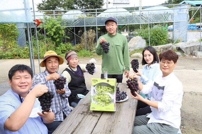 김선제 청년농업인 포도현장에서 장성군 농업기술센터 농업인 교육담당 송광영 팀장과 김소리 지도사, 전남농업기술원 강성구 지도사가 응원했다.