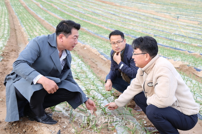 홍성마늘연구회 이성준 회장, 홍성군 농업기술센터 친환경기술과 이승복 과장, 정용갑농촌지도사와 함께 홍성마늘에 대해 이야기 나누고 있다.