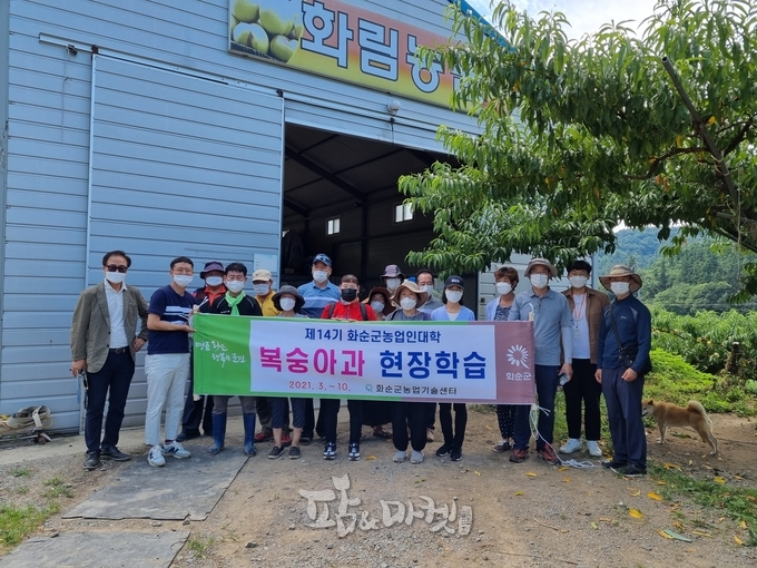 화순군농업인대학 현장학습 : 2021년 제14기 화순군농업인대학 복숭아과 학생들이 수확기를 맞아 관내 복숭아 선도 농가를 방문해 재배기술을 보고 배웠다.<br>
