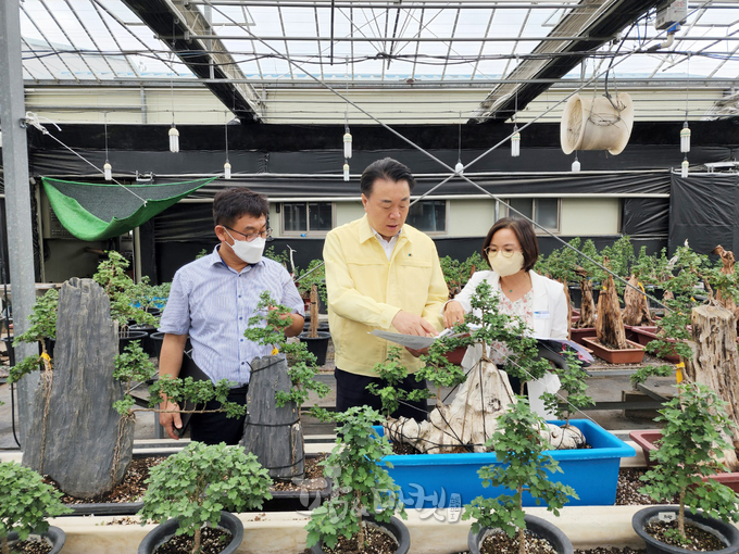구복규 화순군수가 지난달 30일 남산공원과 화순군농업기술센터 작물육묘장을 찾아 국화향연 준비 사항을 점검했다. 사진은 화순군농업기술센터 작물육묘장 방문 모습.<br>
