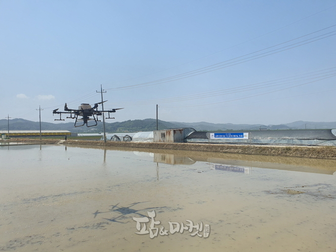 부여군농업기술센터는 23일 드론활용 벼 직파재배 기술지원 현장 연시회를 가졌다. 