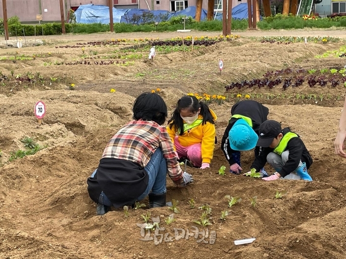 시흥시농업기술센터는 노인, 어린이 등 사회적 배려계층을 대상으로 사회적 도시농업 지원사업을 진행 중이다.