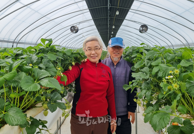 함평 '나비랑 딸기랑' 농장을 운영하고 있는 이정숙, 김영각 대표. 