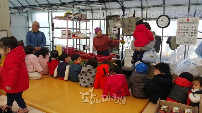 함평의 지역 명소로 명성이 높은 이정숙 농가의 딸기체험 교실. 
