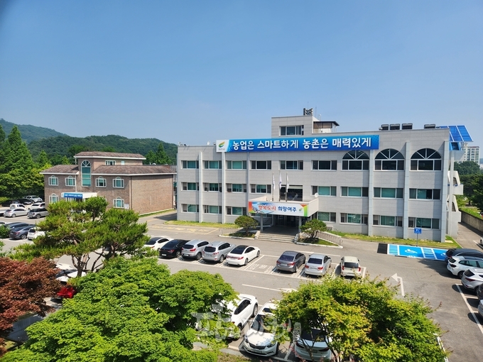여주시청 전경.