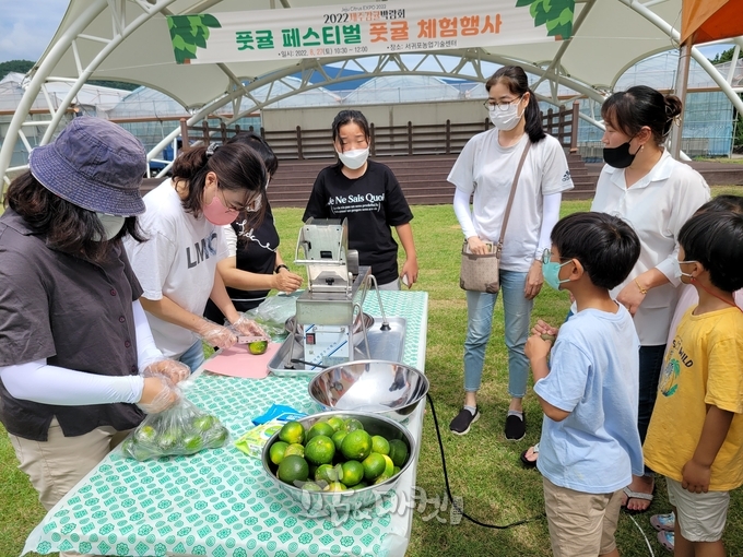 제주특별자치도 서귀포농업기술센터가 지난해 개최한 '풋귤 페스티벌 체험행사' 모습. 