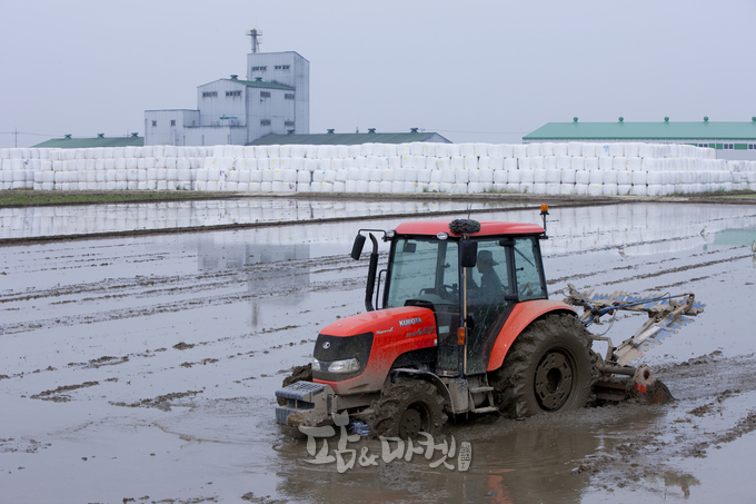 팜앤마켓매거진 DB(사진은 기사와 관련없음)