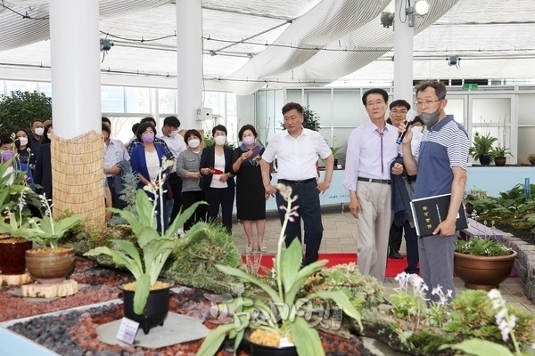 신안군 여름새우란 축제에는 원종 100여 점을 비롯, 풍란, 흑산비비추 등 도서 자생식물을 한자리에서 만나볼 수 있어 인기다. 