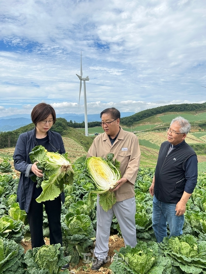 박수진 농식품부 식량정책실장(사진 왼쪽)이 고랭지 배, 무 생육상황과 공급 여건을 점검하고 산지 의견을 들었다.