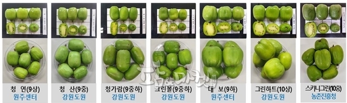 주요 재배품종별 강원도 수확기