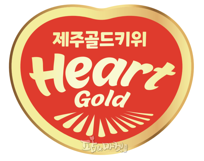 제주산 골드키위 '감황'이 앞으로 '하트골드'로 브랜드화 해 출하를 앞두고 있다. 