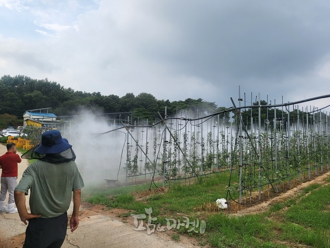 당진시농업기술센터는 사과원 약제 자동화 시스템을 성공적으로 도입해 노동력 절감이 도움될 것으로 기대된다. 