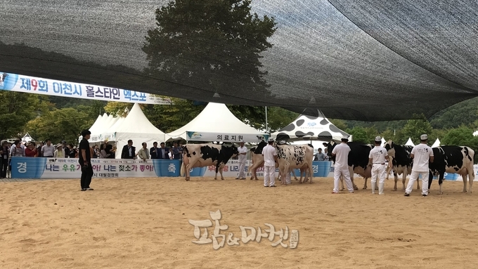 2018년 열렸던 '제9회 이천시 홀스타인 엑스포'. 