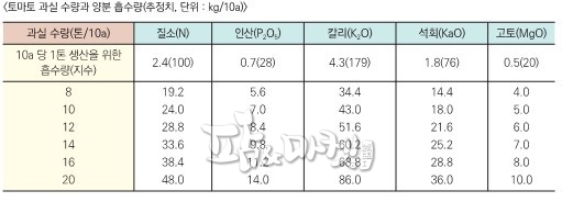 토마토 과실 수량과 양분 흡수량