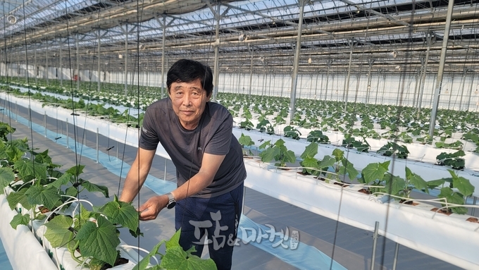 상주 김인남 명인(오이).