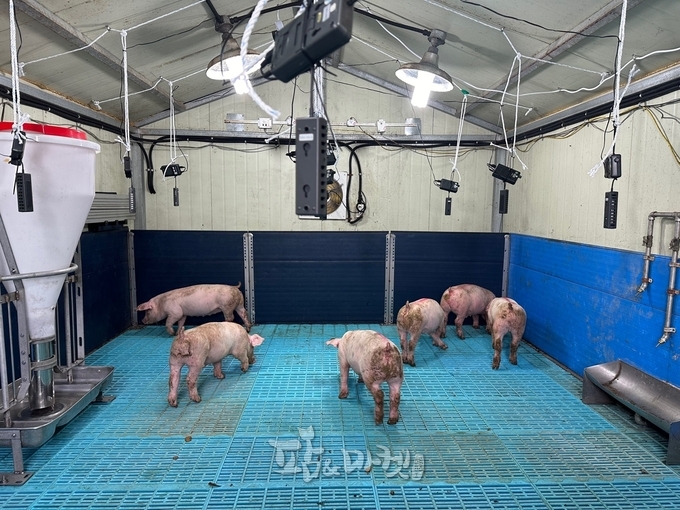 경상대 스마트팜연구센터 SSSL팀은 통계 및 머신러닝을 이용해 실험 돈사에서 발생하는 이산화탄소 및 메탄의 발생량을 예측할 수 있는 시스템을 개발했다.