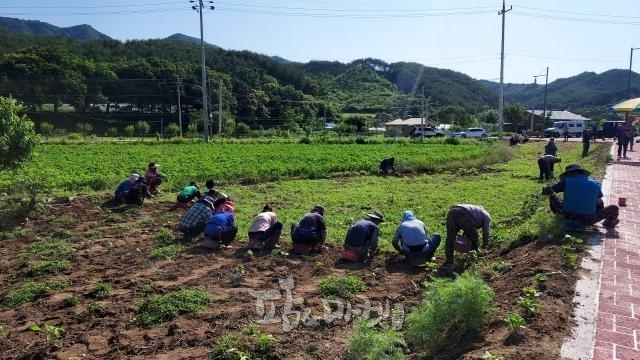 '2023년 농업환경보전프로그램 우수사례 경진대회'서 강원 홍청군 '고양아람산마을'이 대상의 영광을 안았다.