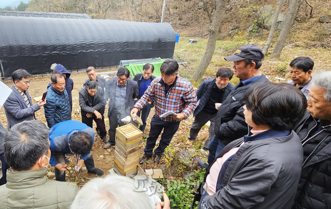 박주호 전남도지회장(가운데)이 토종꿀 채밀 실습 교육을 진행하고 있다.
