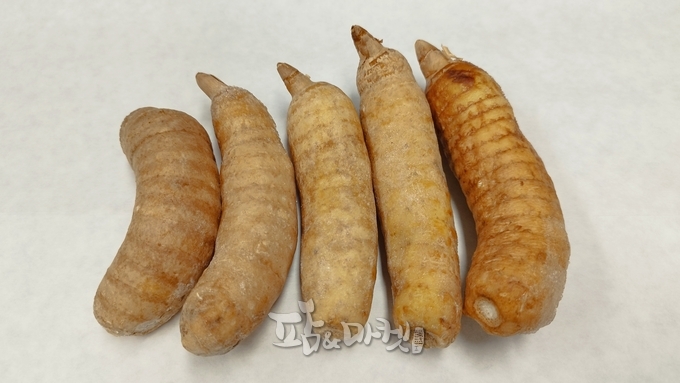 천마 - 고혈압, 두통, 마비, 신경성 질환에 효능이 알려진 난과의 약용작물