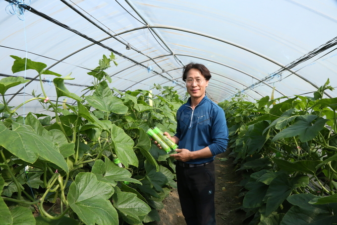 26년차 애호박을 생산하는 오금열 대표