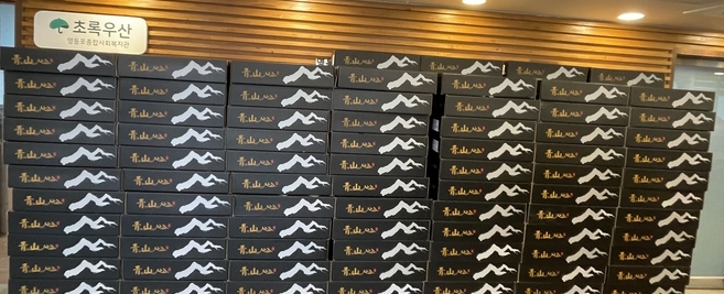 초록우산 후원