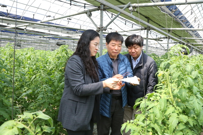 아산시농업기술센터 이미용 기술보급과장, 한승만 지도사와 교미교란제, 트랩 등에 대해 대화하는 모습.