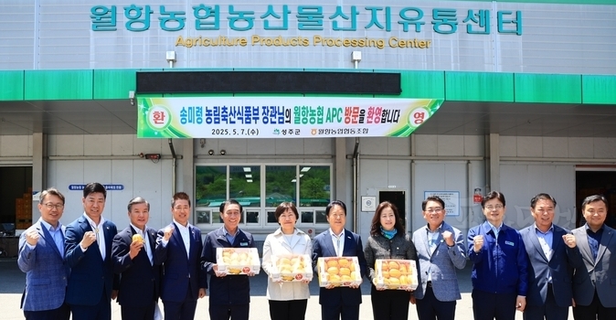 수출하는 참외.