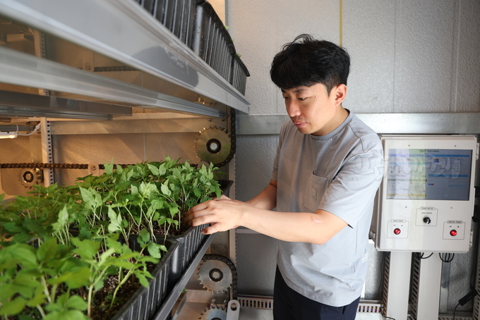 직접 개발한 스마트팜 농장에서 새싹인삼 재배.