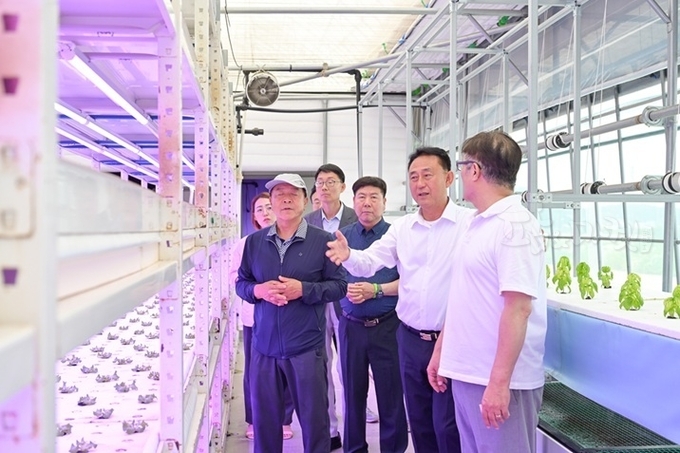이충우 시장은 스마트농업을 선도하는 농가 방문.