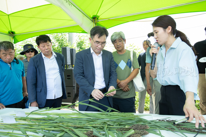 국립축산과학원 임기순 원장은“사료피는 논에서도 잘 자라고 품질도 우수한 여름철 핵심 사료작물"이라고 말했다.