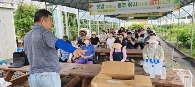 직접 배우고 텃밭에 적용.