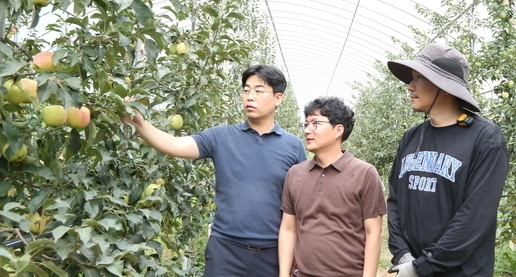 충남농업기술원 장정식 팀장, 청양군농업기술센터 이성준 지도사에게 기술 지도 받는 이정연 청년농부.