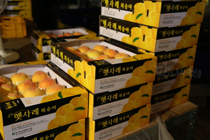 소비자들이 찾는 복숭아.
