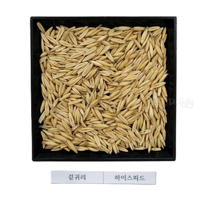 겉귀리.