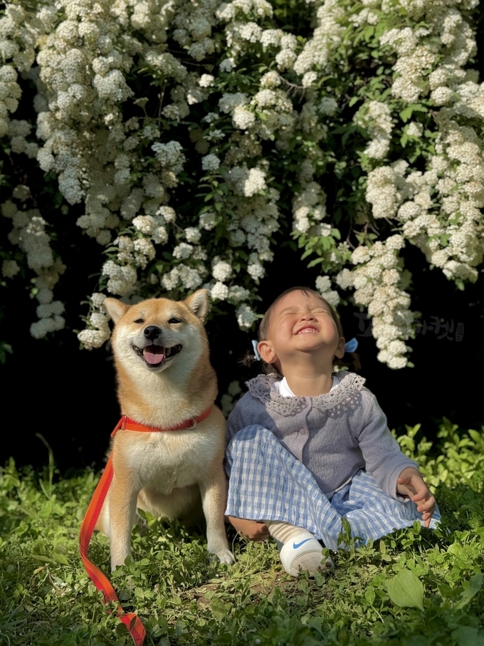 최우수상