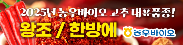 배너