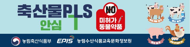 배너