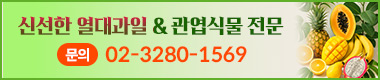 배너