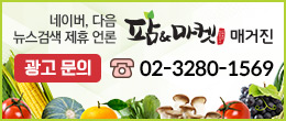 배너
