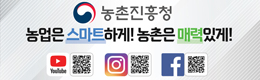 배너