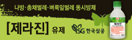 배너
